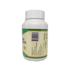 PROBIÓTICO Y FIBRA LACTA 100 CÁPSULAS 500MG | Estreñimiento, Hinchazón, Metabolismo.