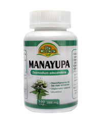 MANAYUPA 100 CÁPSULAS 500MG | Desinflamante, Vías urinarias, Gastritis, Diurético. - Salud Vida Peru