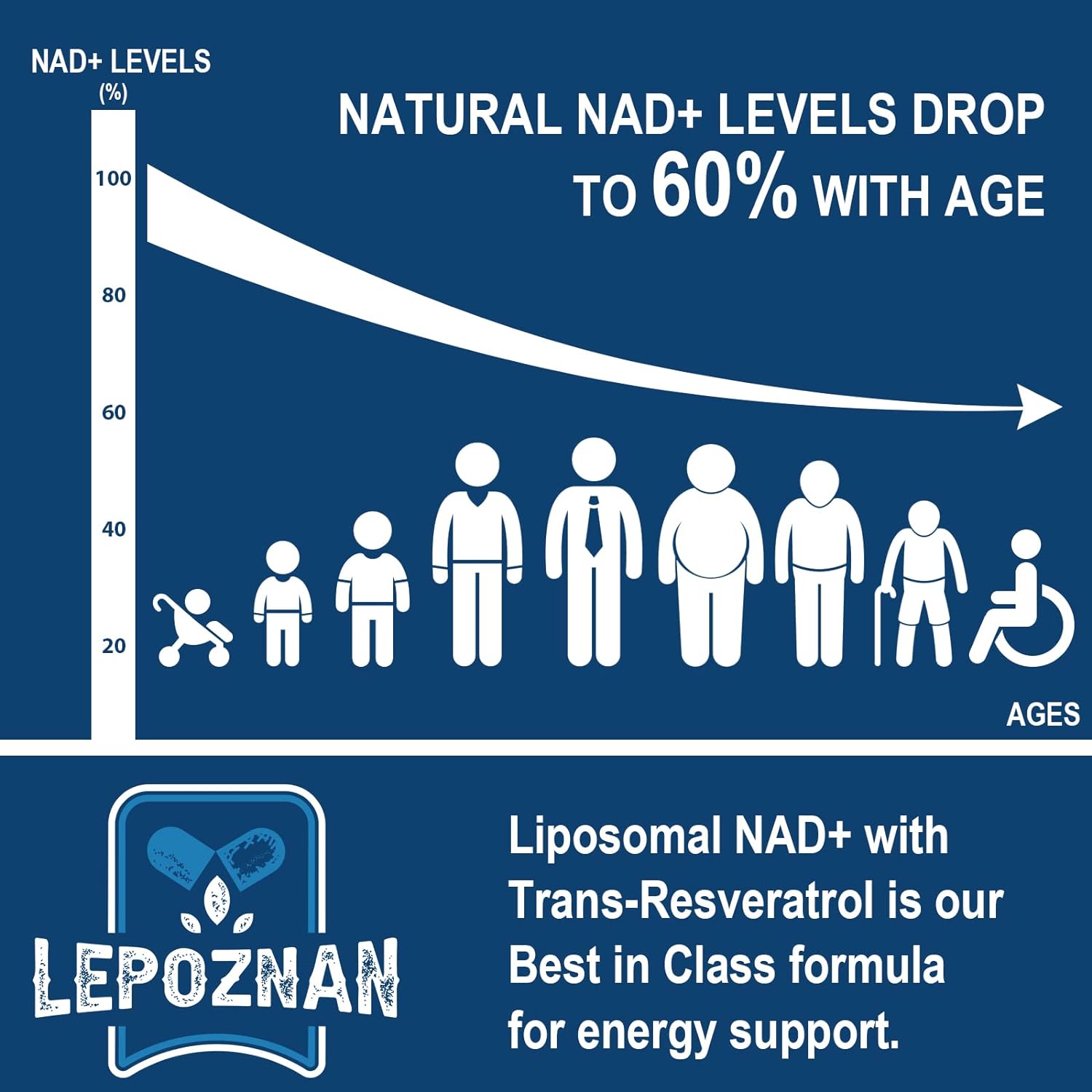 Liposomal NAD + 500 mg + trans-resveratrol 300 mg, absorción superior