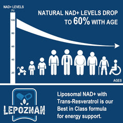 NAD+ 500MG + TRANS-RESVERATROL 300MG ABSORCIÓN SUPERIOR | Longevidad.