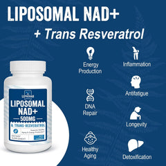 NAD+ 500MG + TRANS-RESVERATROL 300MG ABSORCIÓN SUPERIOR | Longevidad.