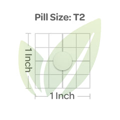 MELATONINA 5MG + B6, 120 TABLETAS RECUBIERTAS | Sueño, Antioxidante, Pérdida de peso. - Salud Vida Peru
