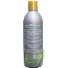Shampoo carbón activado y eucalipto sin sal ni sulfatos (cabello graso) | 500 ml - Salud Vida Peru