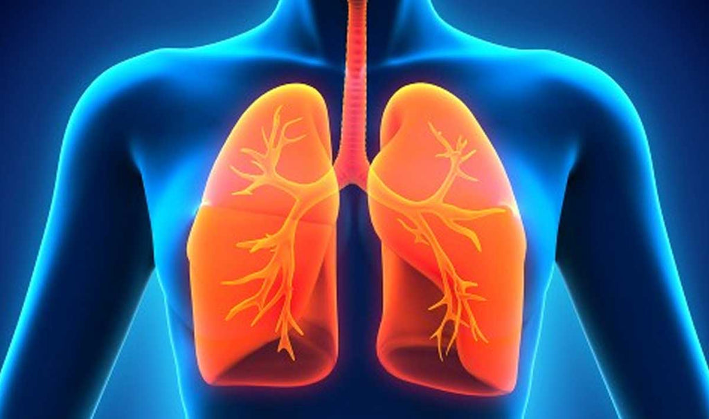 Esto es lo que sucede a los pulmones cuando utiliza los aceites esenciales