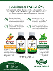 Paltibrón GN  180ml. - Sabor Menta - Infecciones respiratorias