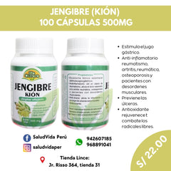 Jengibre (kión) 500 mg | 100 cápsulas