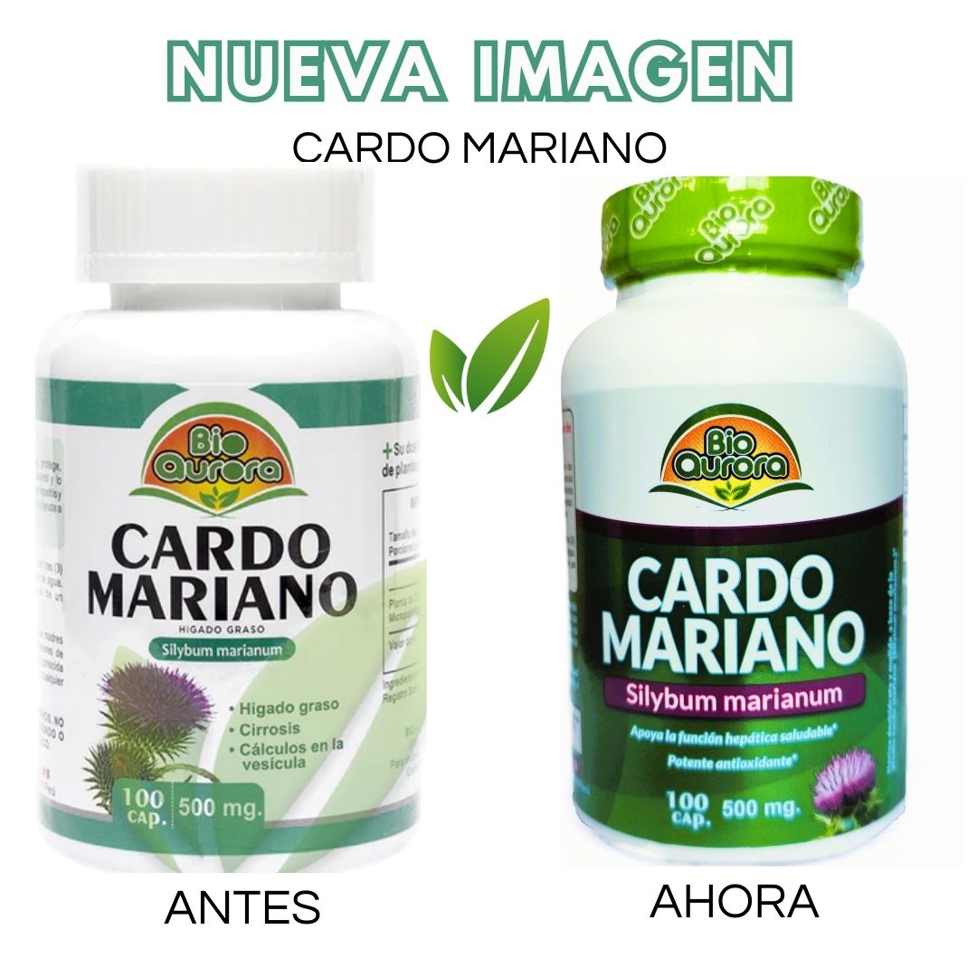 Cardo mariano 500 mg | 100 cápsulas