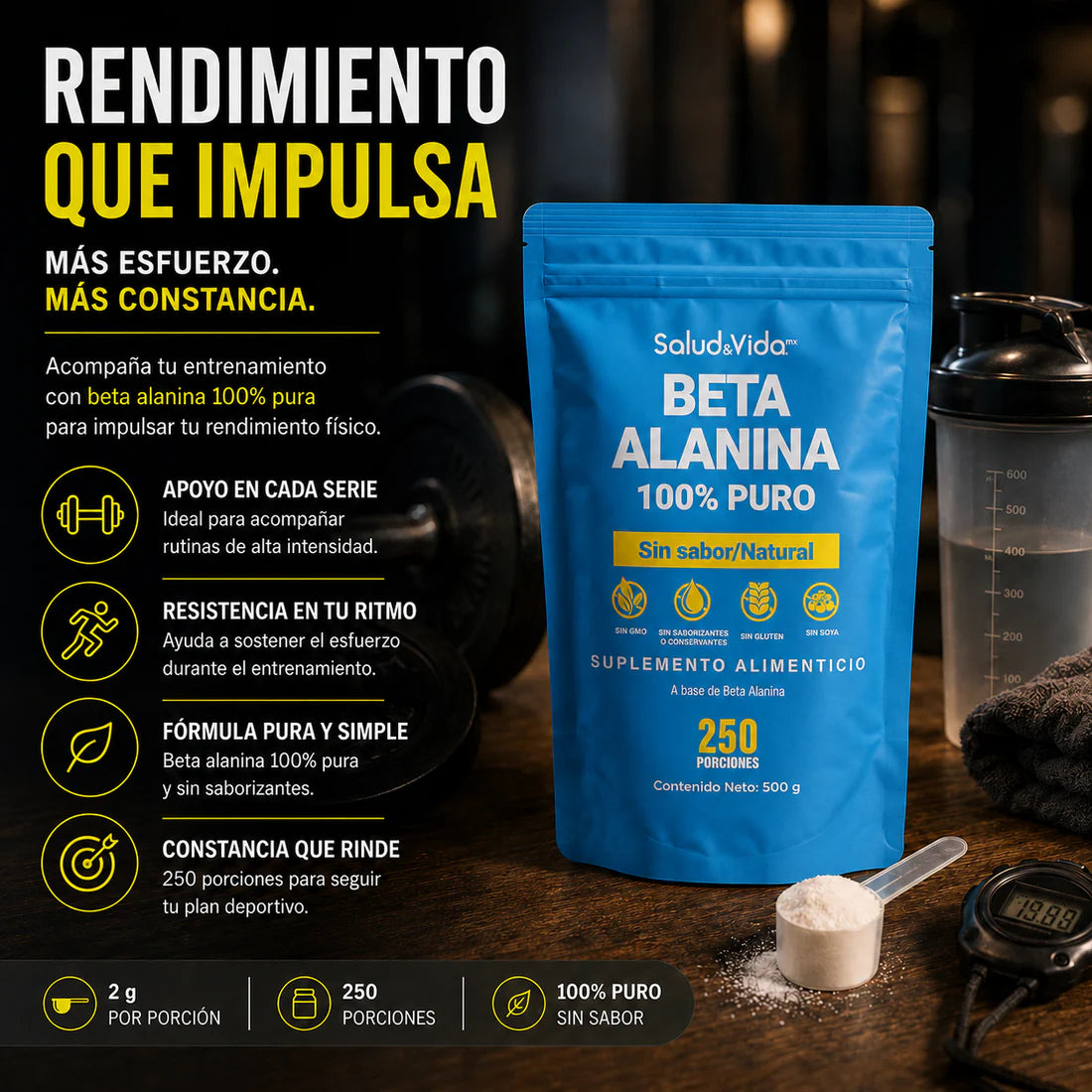 Beta Alanina en polvo 500 g