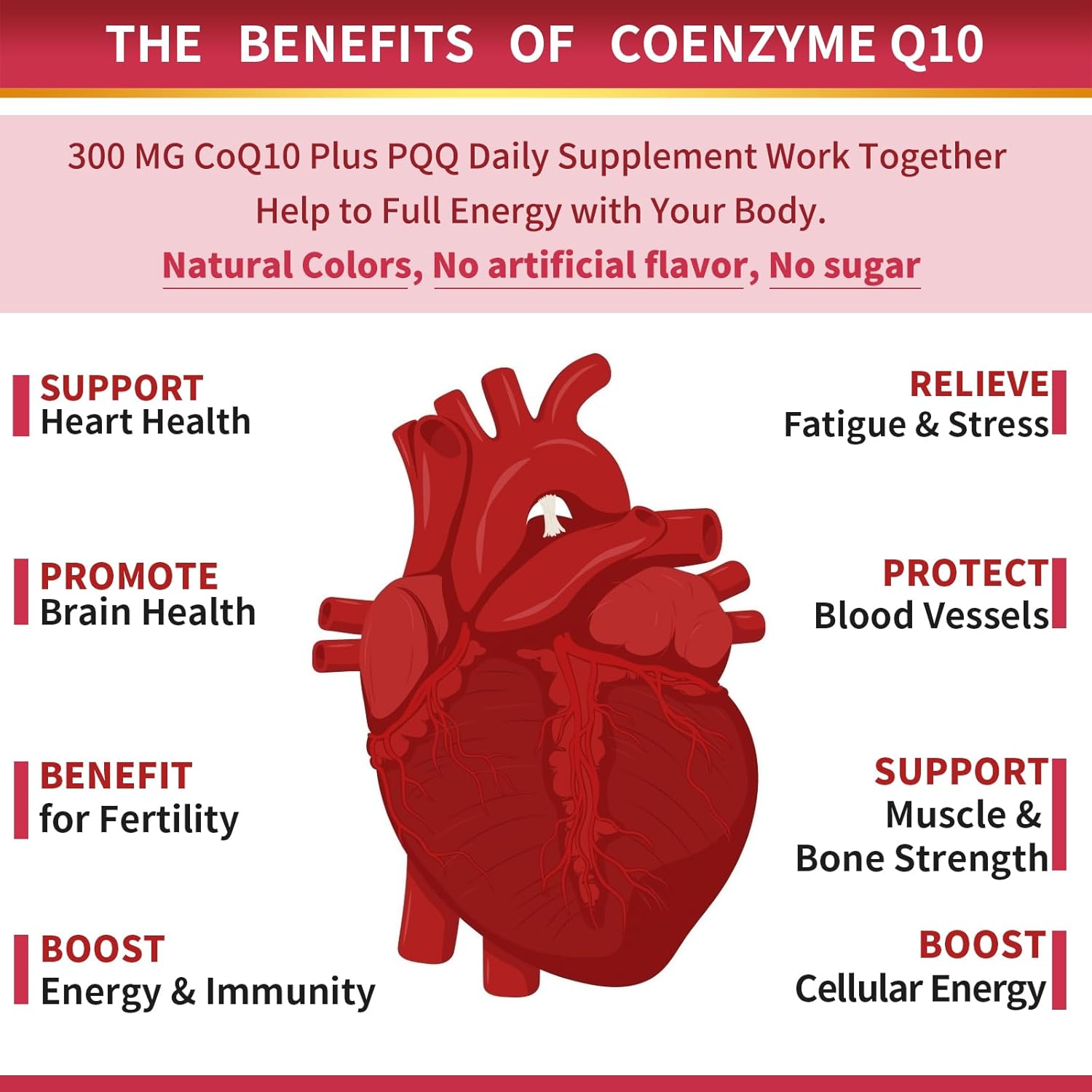 COQ-10 300MG. 120 CÁPSULAS | Presión arterial alta , Rendimiento físico, Antioxidante.