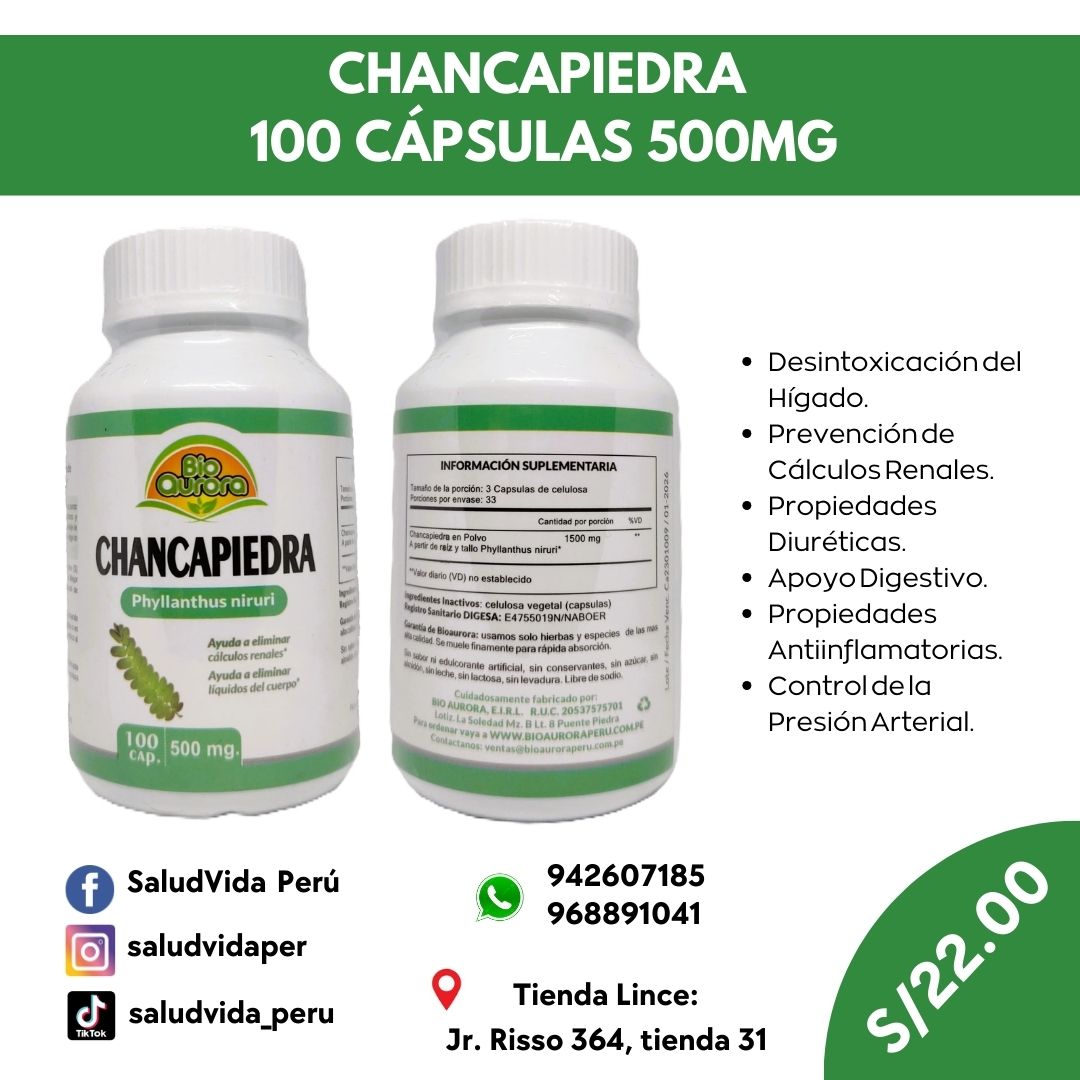 CHANCAPIEDRA 100 CÁPSULAS 500MG | Hígado, Cálculos renales, Digestivo, Presión Arterial. - Salud Vida Peru