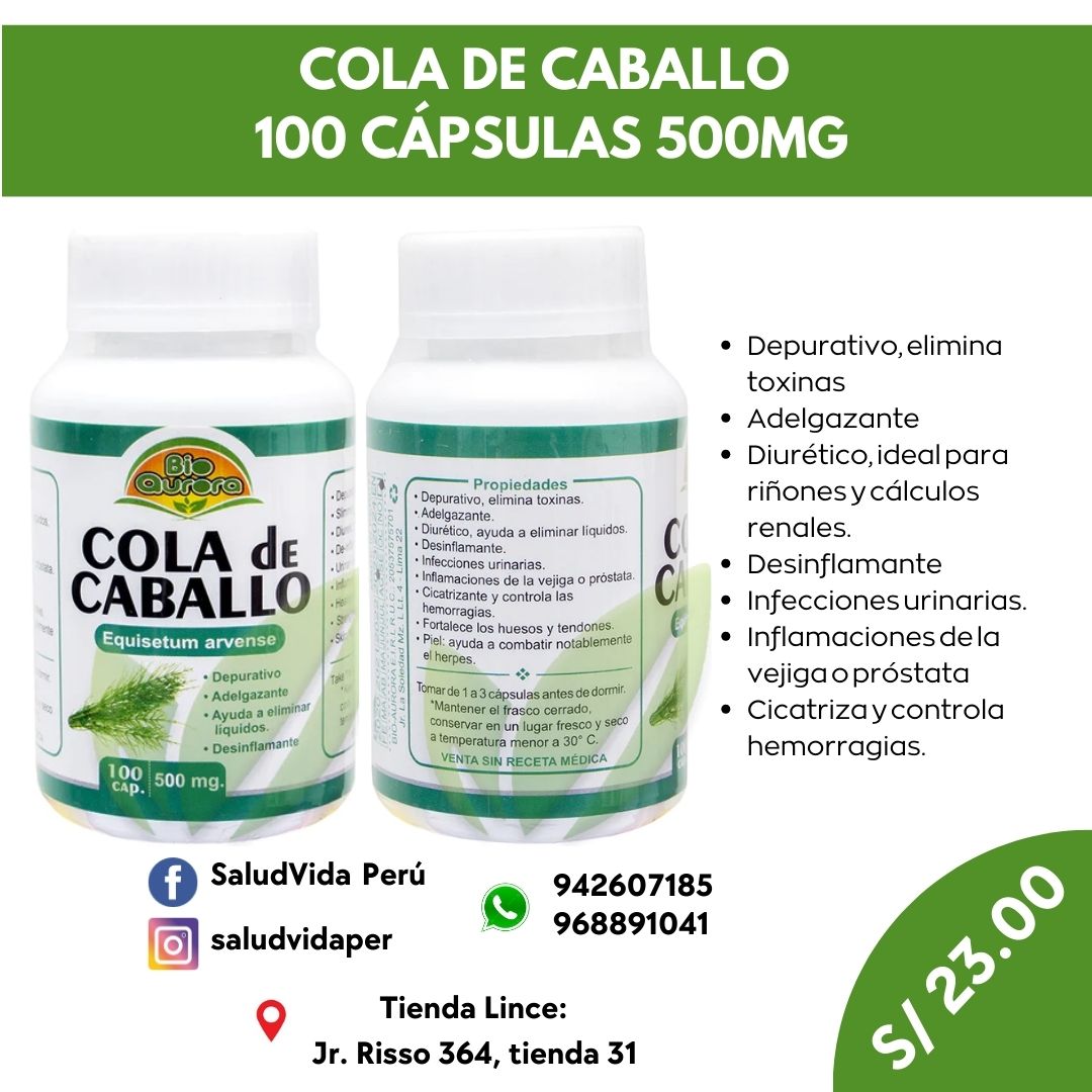 COLA DE CABALLO 100 CÁPSULAS 500MG  | Infecciones urinarias, Huesos, Diurético, Cabello, Uñas, Piel. - Salud Vida Peru