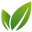 SaludVida Perú logo