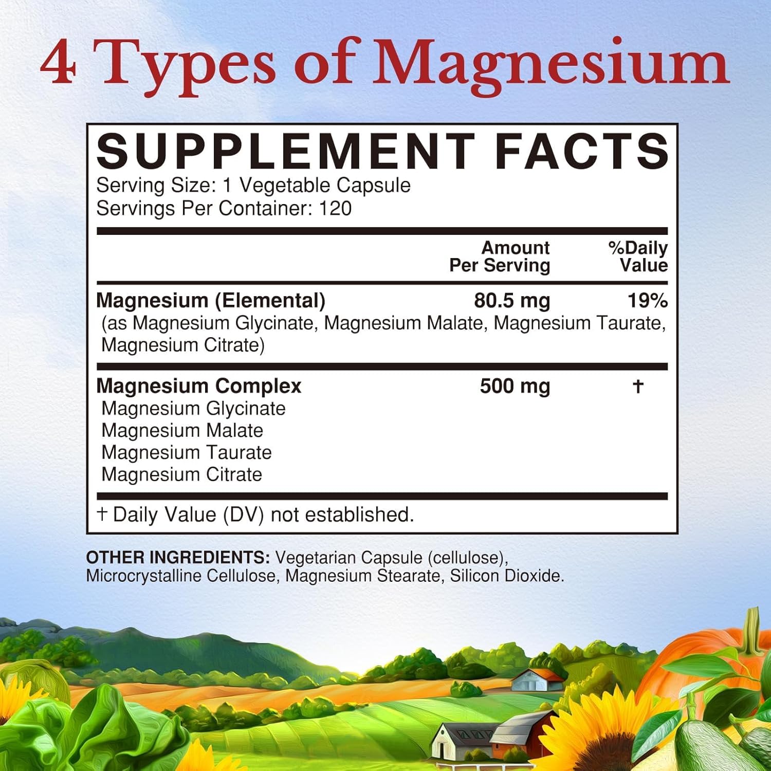 Magnesio Complex 500mg 120 cápsulas