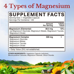 Magnesio Complex 500mg 120 cápsulas