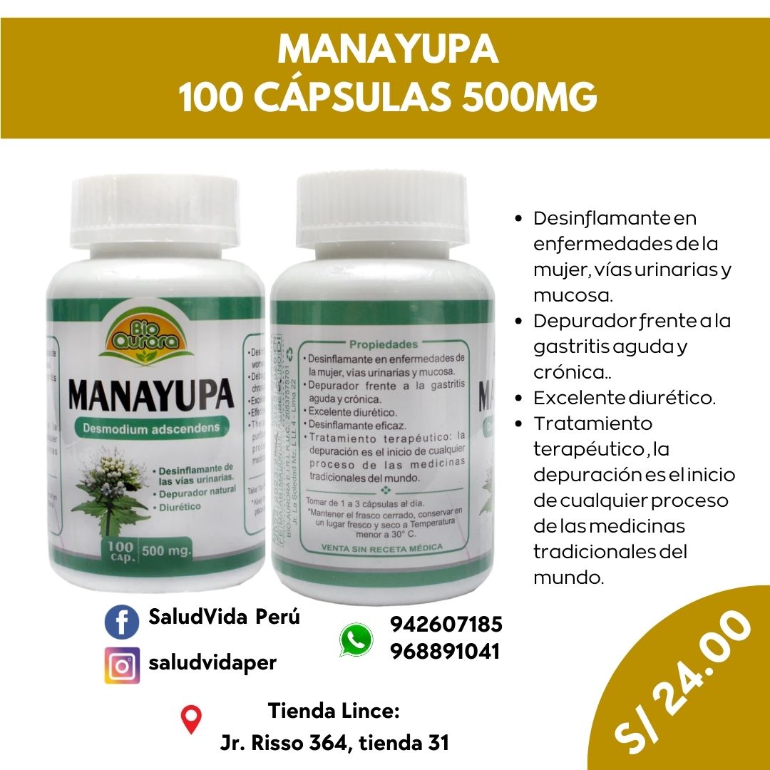 MANAYUPA 100 CÁPSULAS 500MG | Desinflamante, Vías urinarias, Gastritis, Diurético. - Salud Vida Peru