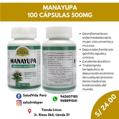 MANAYUPA 100 CÁPSULAS 500MG | Desinflamante, Vías urinarias, Gastritis, Diurético. - Salud Vida Peru