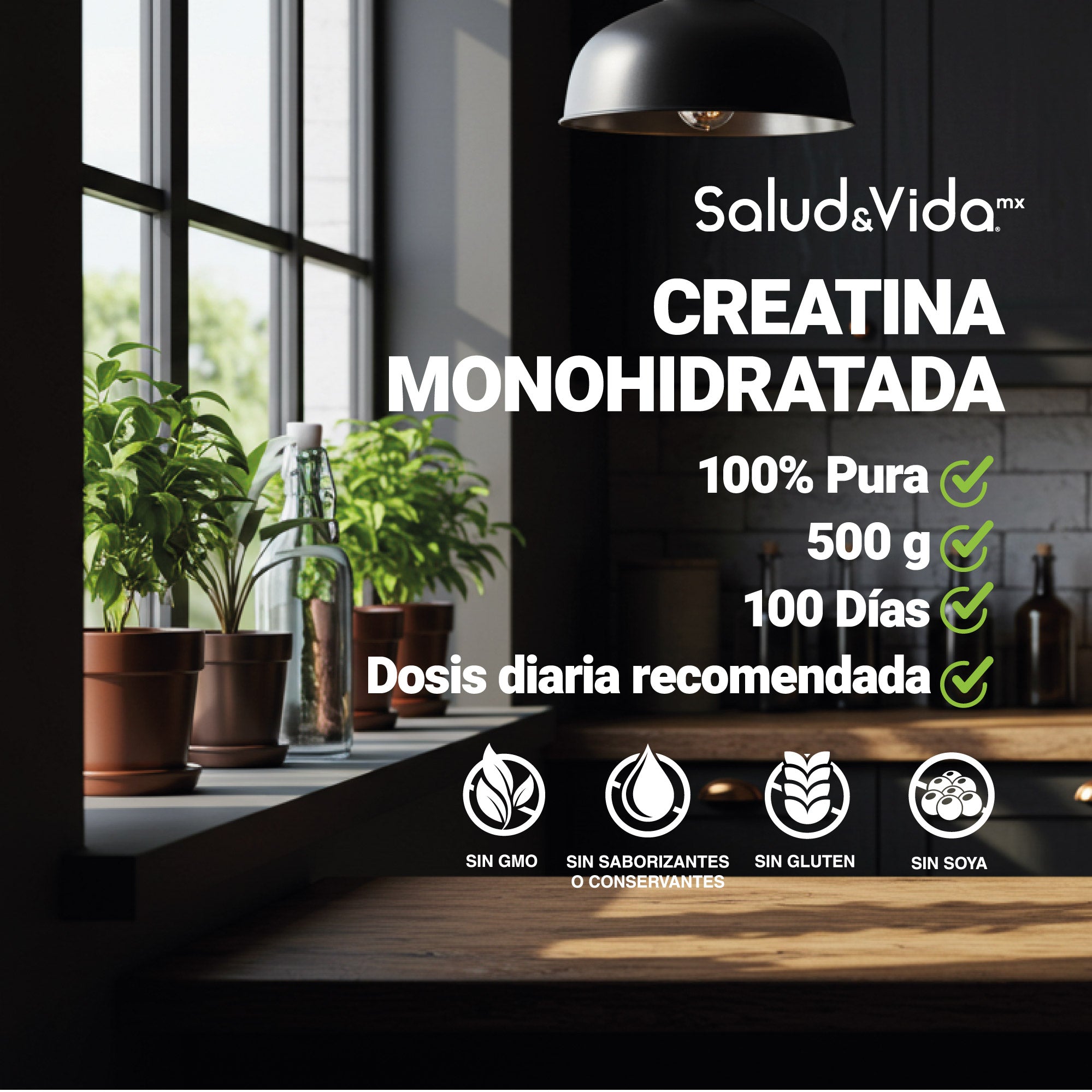 Creatina Monohidratada 500g