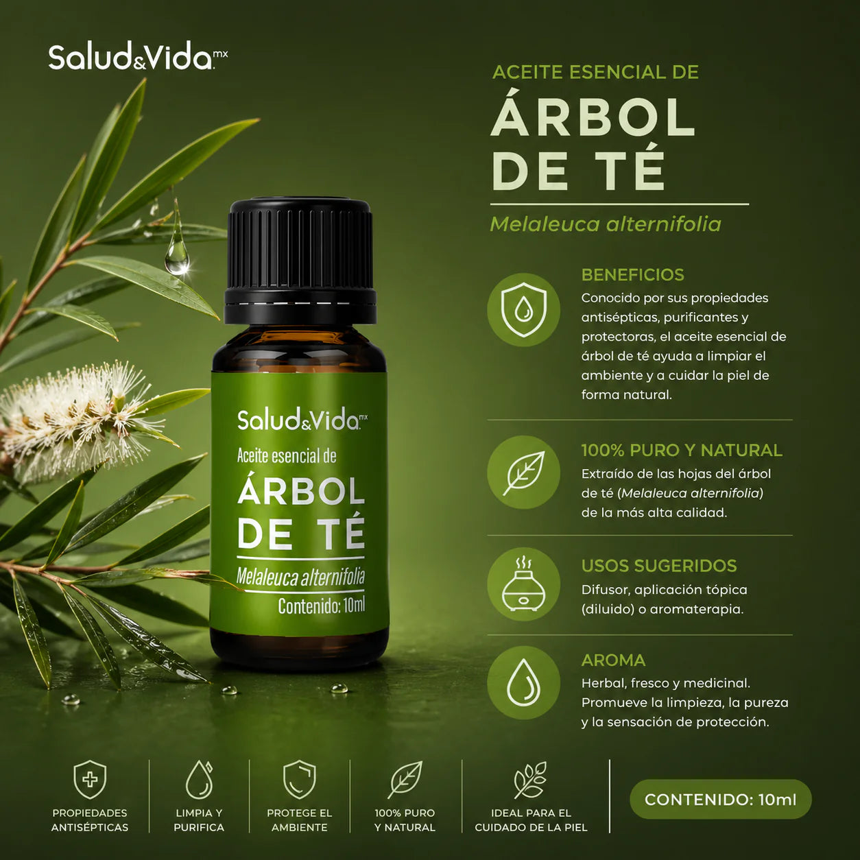 Kit de 6 Aceites esenciales para Aromaterapia 10ml.