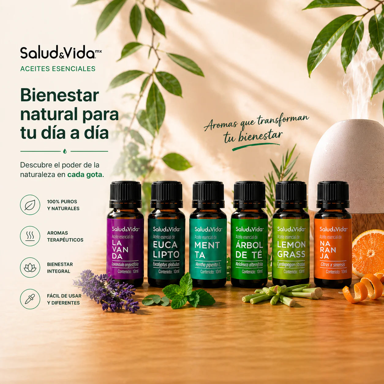 Kit de 6 Aceites esenciales para Aromaterapia 10ml.