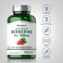 Berberina 500 mg | 120 cápsulas (copia)