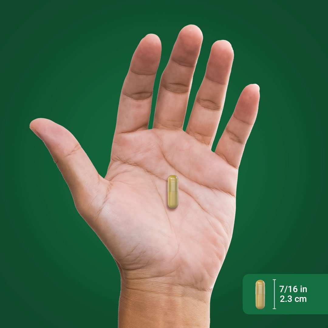 Berberina 500 mg | 120 cápsulas (copia)