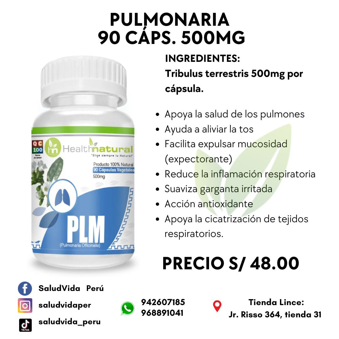 PLM (PULMONARIA) 500MG 90 CÁPSULAS | Asma, Catarros, Pulmones, Tos, Garganta.