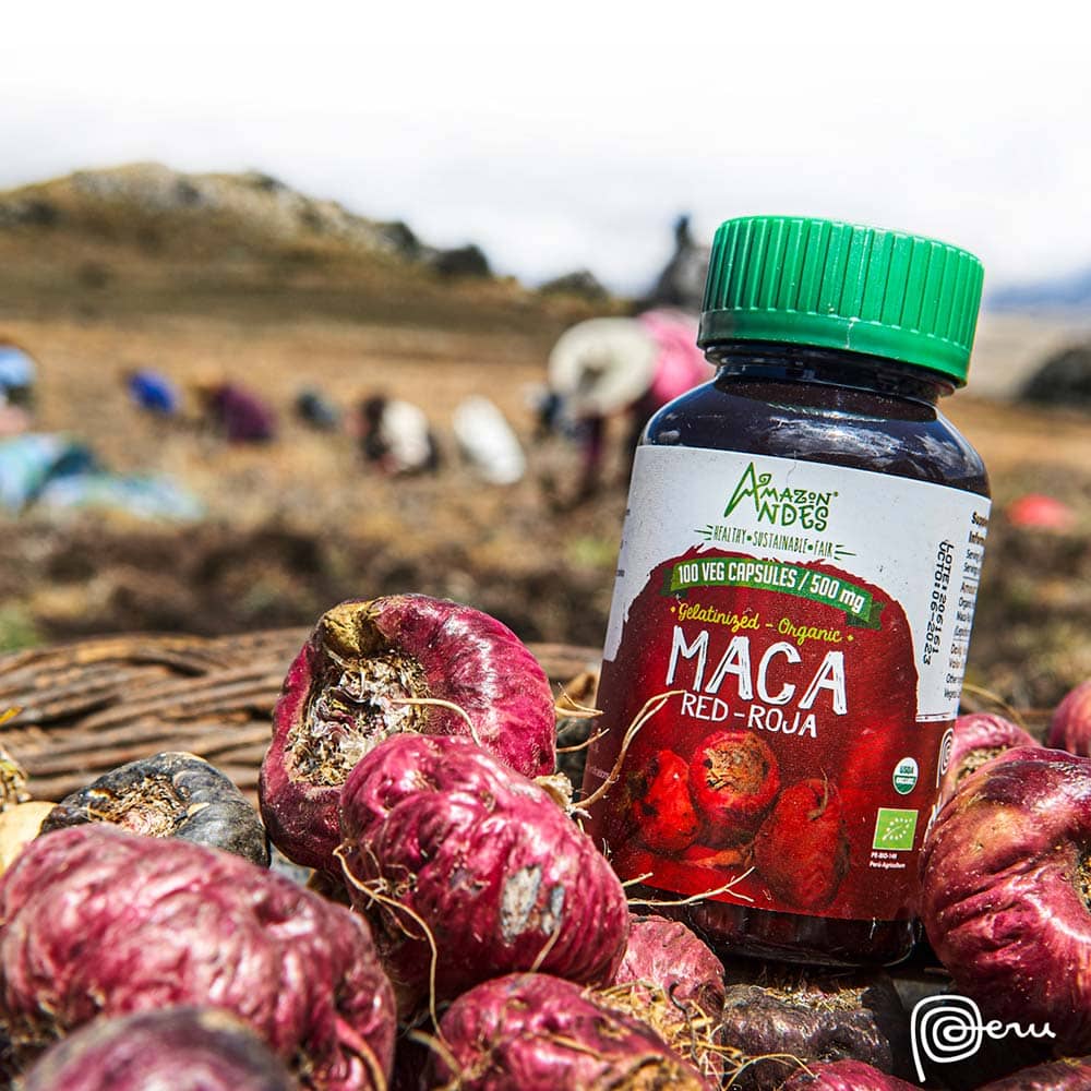 Maca roja orgánica 500 mg  100 cápsulas veg. c/u)