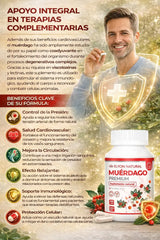 Muérdago Premium 500mg 100 cápsulas- Presión alta, defensas bajas, dolores articulares