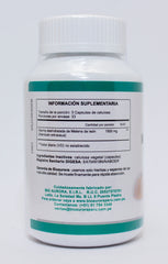 MELENA DE LEÓN 100 CÁPSULAS 500MG B.A. | Estado de ánimo, Estimulación neurológica, Estómago, Antioxidante. (Copia)