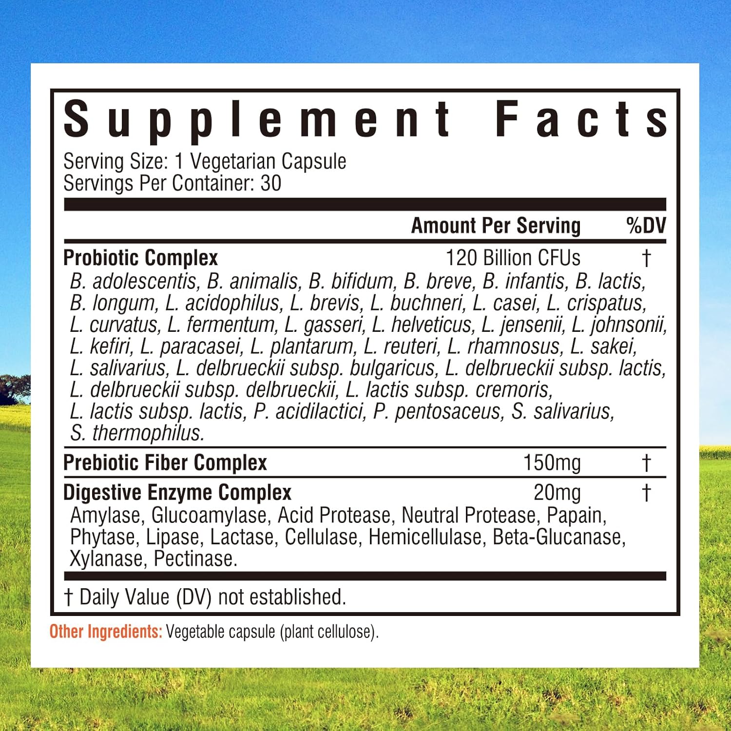 PROBIÓTICO 120 MIL MILLONES CFUs 30 CÁPSULAS VEGETARIANAS | Flora intestinal, Sistema inmunológico, Estreñimiento, Alergias, Asma. (Copia)