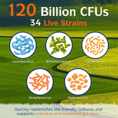 PROBIÓTICO 120 MIL MILLONES CFUs 30 CÁPSULAS VEGETARIANAS | Flora intestinal, Sistema inmunológico, Estreñimiento, Alergias, Asma. (Copia)