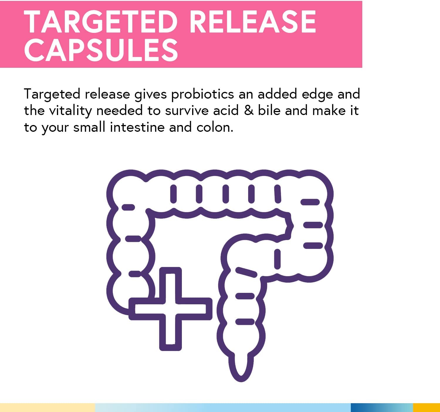 PROBIÓTICOS MUJER 200 billones  CFUs 60 CÁPSULAS VEGANAS | Flora intestinal, Candidiasis, Estreñimiento, Alergias.