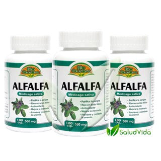 Alfalfa X 3 frascos (500 mg | 100 cápsulas c/u)