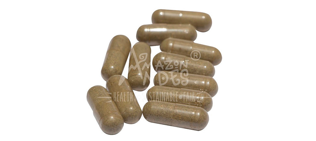 Chancapiedra 500 mg | 100 cápsulas veg.