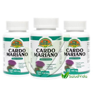 Cardo mariano X 3 frascos (500 mg | 100 cápsulas c/u)