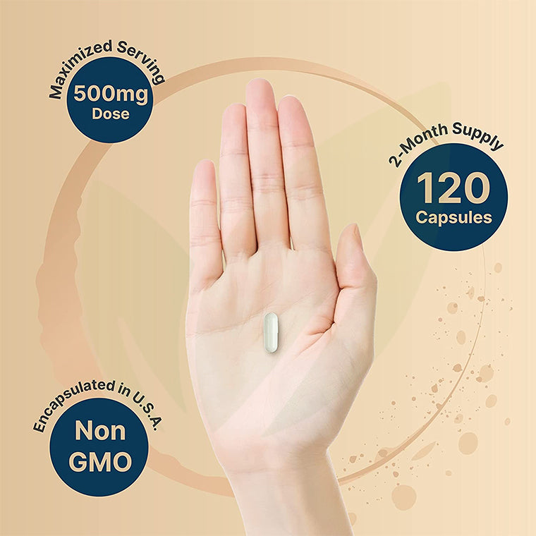 Citicoline CDP Choline 500 mg p/s | 120 cápsulas